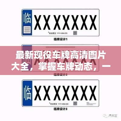 最新现役车牌高清图片大全，掌握车牌动态，一览无遗