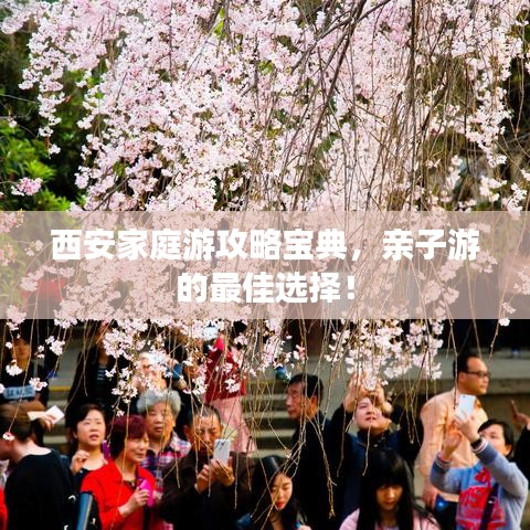 西安家庭游攻略宝典，亲子游的最佳选择！