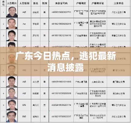 广东今日热点，逃犯最新消息披露