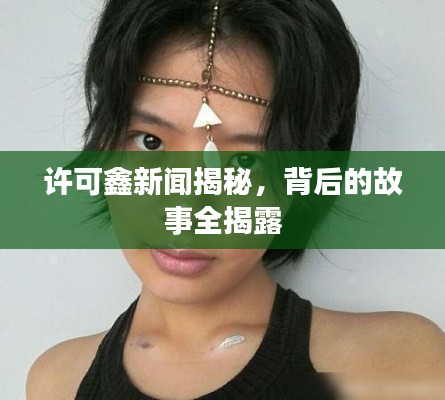 许可鑫新闻揭秘，背后的故事全揭露