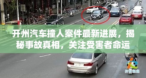 开州汽车撞人案件最新进展，揭秘事故真相，关注受害者命运