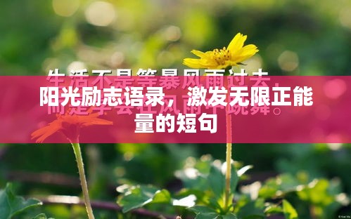 阳光励志语录，激发无限正能量的短句