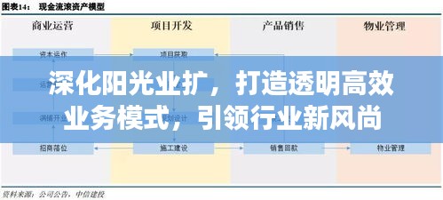 深化阳光业扩，打造透明高效业务模式，引领行业新风尚