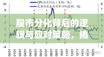 股市分化背后的逻辑与应对策略，揭秘巨震轮动分化现象