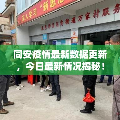 同安疫情最新数据更新，今日最新情况揭秘！