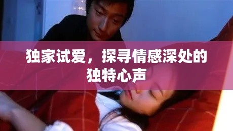 独家试爱，探寻情感深处的独特心声