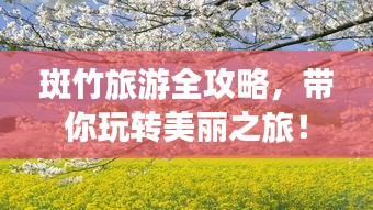 斑竹旅游全攻略，带你玩转美丽之旅！
