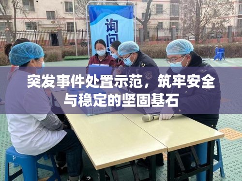 突发事件处置示范，筑牢安全与稳定的坚固基石