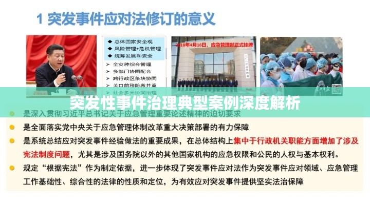 突发性事件治理典型案例深度解析