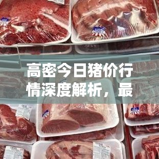 高密今日猪价行情深度解析，最新动态与趋势预测