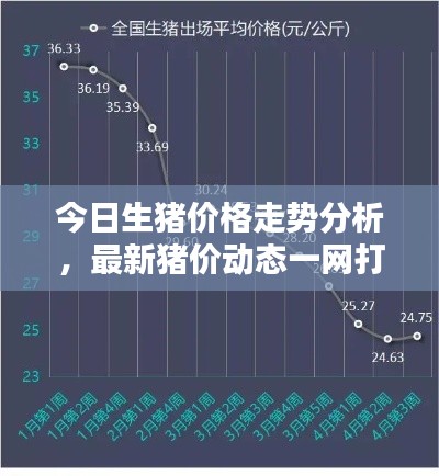 今日生猪价格走势分析，最新猪价动态一网打尽