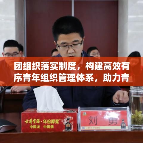 团组织落实制度，构建高效有序青年组织管理体系，助力青年成长发展。