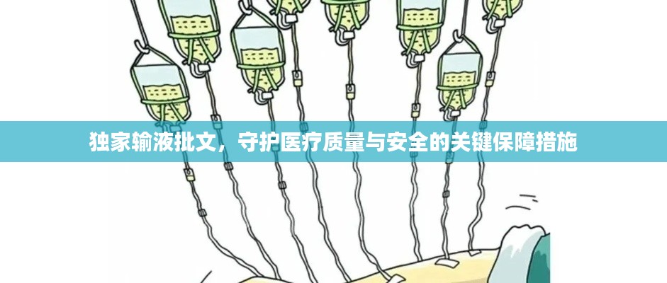 独家输液批文，守护医疗质量与安全的关键保障措施