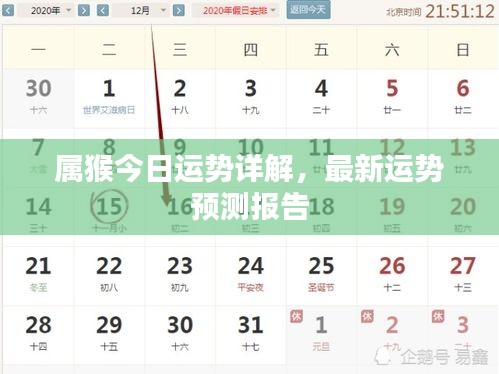 属猴今日运势详解，最新运势预测报告