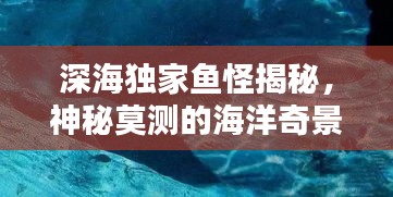 深海独家鱼怪揭秘，神秘莫测的海洋奇景