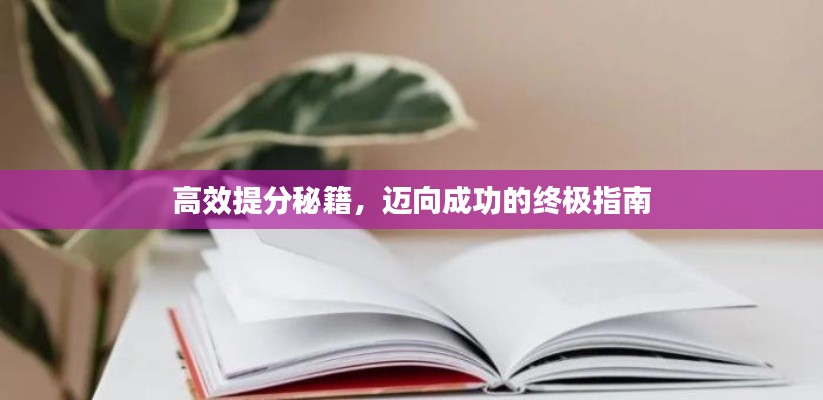高效提分秘籍，迈向成功的终极指南