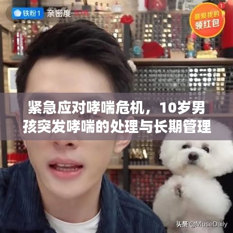 紧急应对哮喘危机，10岁男孩突发哮喘的处理与长期管理策略