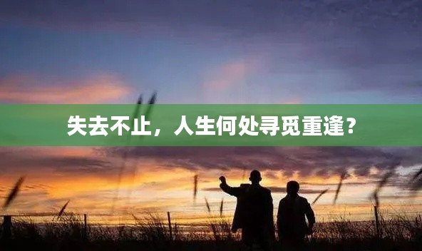 失去不止，人生何处寻觅重逢？