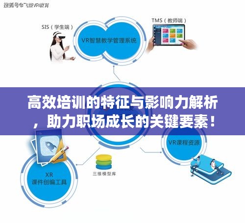 高效培训的特征与影响力解析，助力职场成长的关键要素！