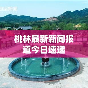 桃林最新新闻报道今日速递