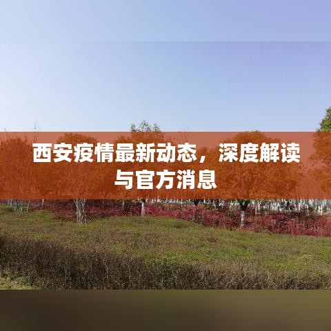 西安疫情最新动态，深度解读与官方消息
