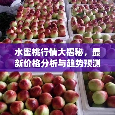 水蜜桃行情大揭秘，最新价格分析与趋势预测