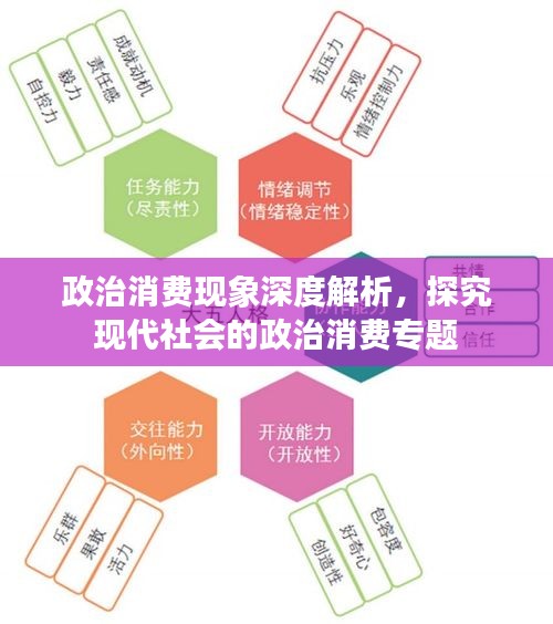 政治消费现象深度解析，探究现代社会的政治消费专题