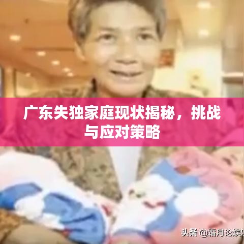 广东失独家庭现状揭秘，挑战与应对策略