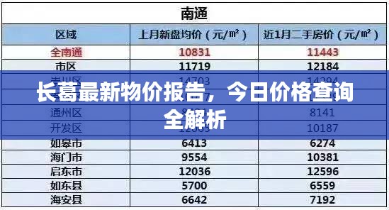 长葛最新物价报告，今日价格查询全解析