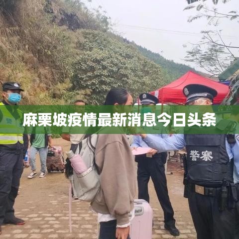 麻栗坡疫情最新消息今日头条