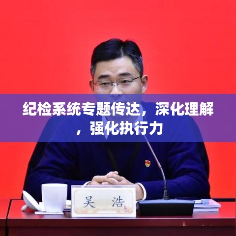 纪检系统专题传达，深化理解，强化执行力