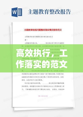 高效执行，工作落实的范文典范