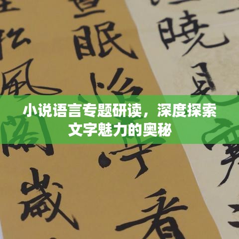 小说语言专题研读，深度探索文字魅力的奥秘