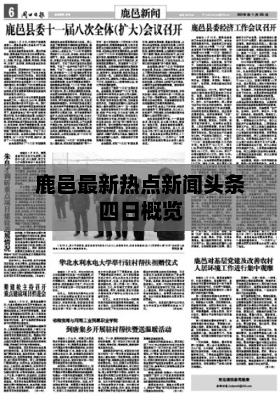 鹿邑最新热点新闻头条四日概览
