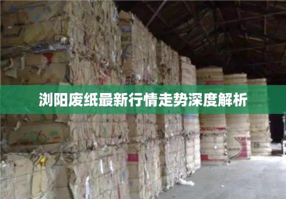 浏阳废纸最新行情走势深度解析