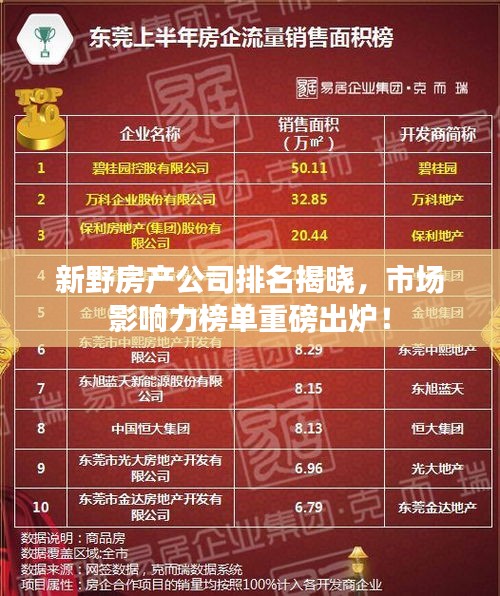 新野房产公司排名揭晓，市场影响力榜单重磅出炉！