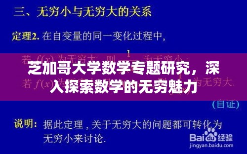 芝加哥大学数学专题研究，深入探索数学的无穷魅力