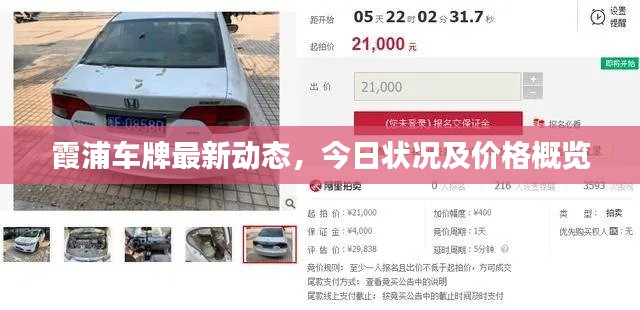 霞浦车牌最新动态，今日状况及价格概览