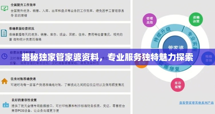 揭秘独家管家婆资料，专业服务独特魅力探索