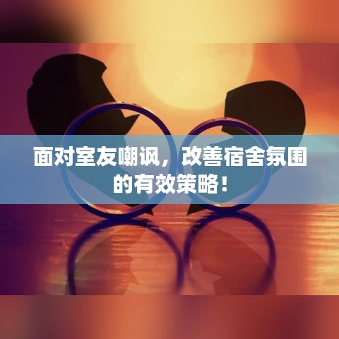 面对室友嘲讽，改善宿舍氛围的有效策略！