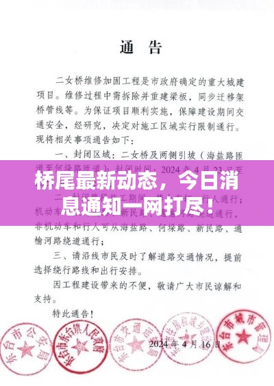 桥尾最新动态，今日消息通知一网打尽！