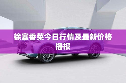 徐寨香菜今日行情及最新价格播报