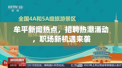 牟平新闻热点，招聘热潮涌动，职场新机遇来袭