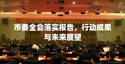 市委全会落实报告，行动成果与未来展望
