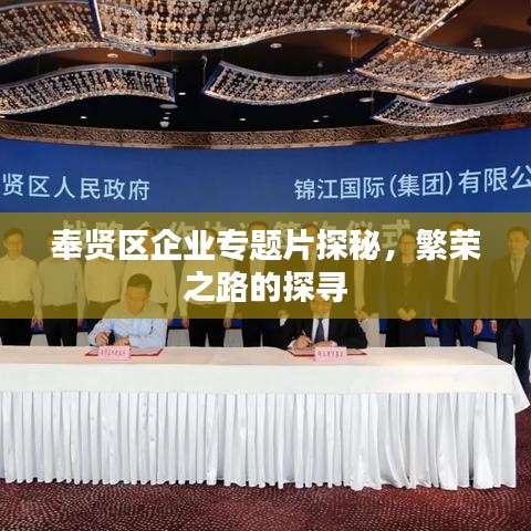 奉贤区企业专题片探秘，繁荣之路的探寻
