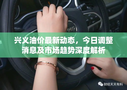 兴义油价最新动态，今日调整消息及市场趋势深度解析
