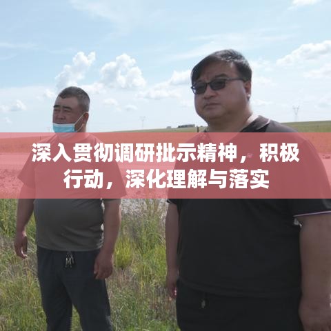 深入贯彻调研批示精神，积极行动，深化理解与落实