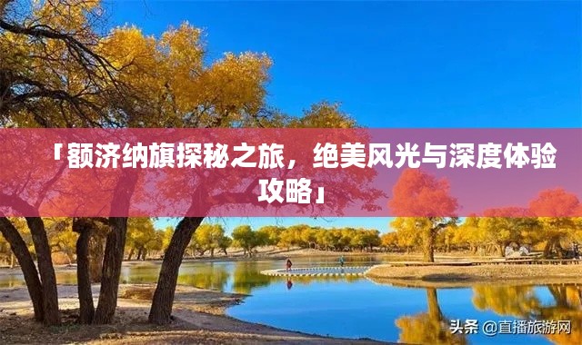「额济纳旗探秘之旅，绝美风光与深度体验攻略」