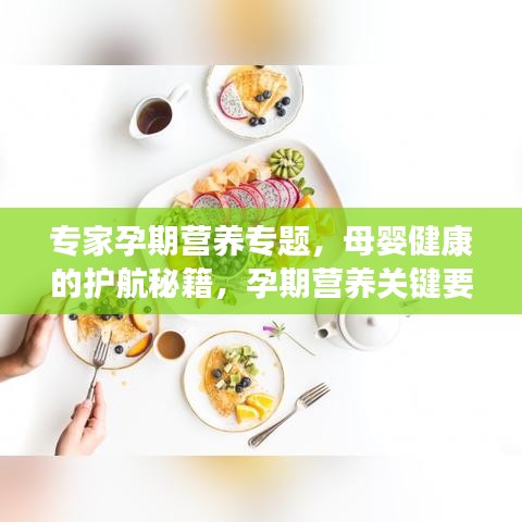 专家孕期营养专题，母婴健康的护航秘籍，孕期营养关键要素全解析