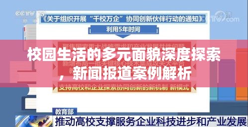 校园生活的多元面貌深度探索，新闻报道案例解析